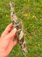 Homegrown Olive Leaf & Rosemary Botanical Smoke Stick