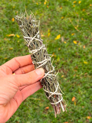 Homegrown Olive Leaf & Rosemary Botanical Smoke Stick