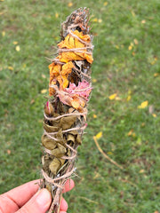 Homegrown Rose & Rosemary Botanical Smoke Stick